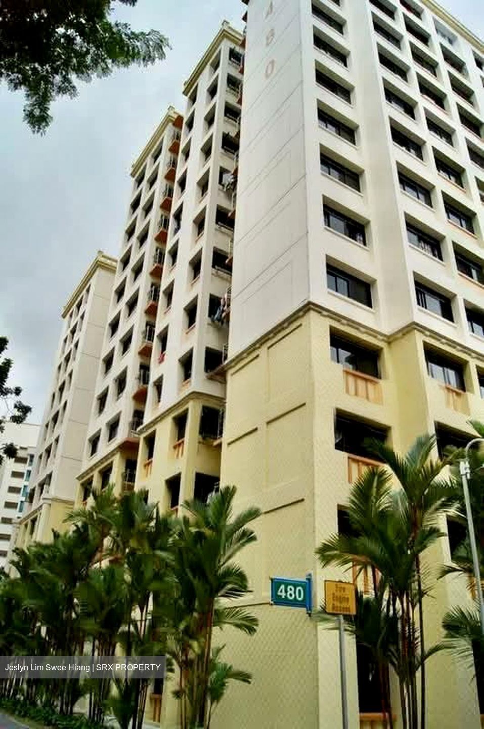 Blk 481 Sembawang Drive (Sembawang), HDB 5 Rooms #568161031
